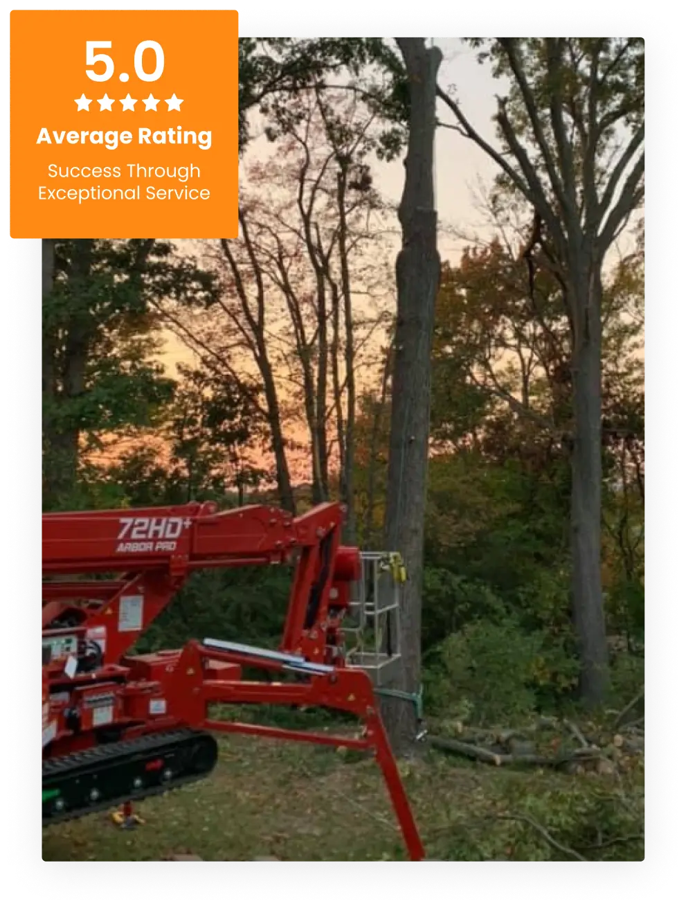 Commercial Tree Service
